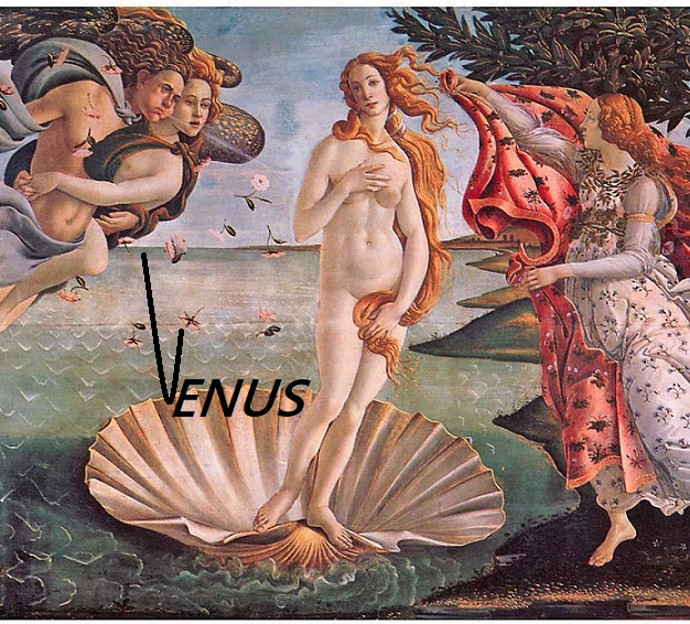 Venus: It is all about Interest or YIELD (April 2021)