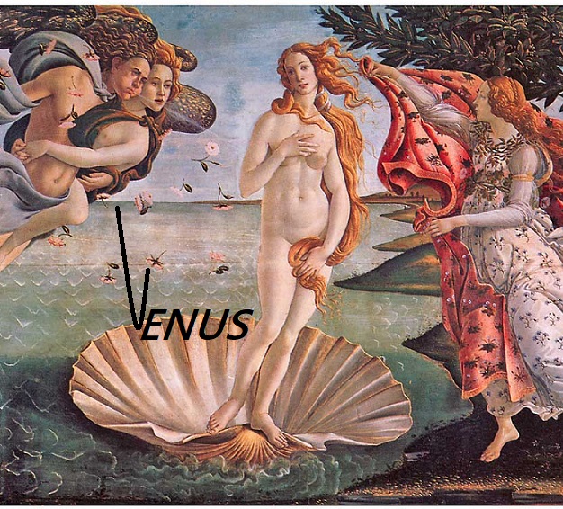 Venus: It is all about Interest or YIELD (April 2021)