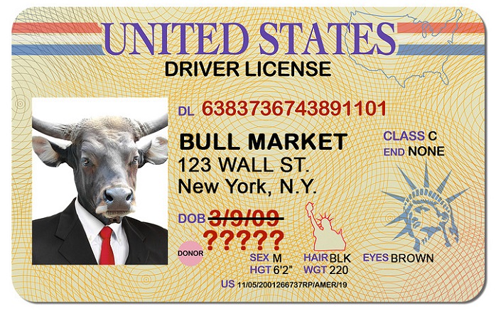 Mister Bull Market (Mr. Market)